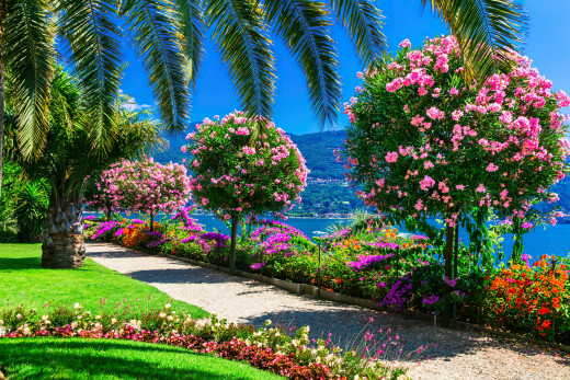 1646722 (a): :2560x1706
